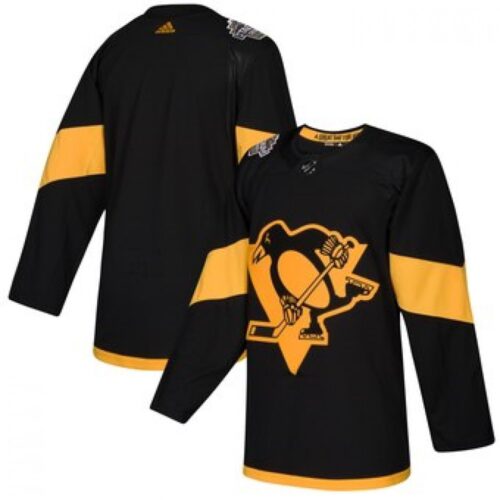 6861789fa7d69_1 Men's Pittsburgh Penguins Black 2019 NHL Stadium Series Stitched Jersey