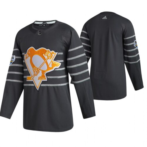 686178afd33e9_1 Men's Pittsburgh Penguins Blank 2020 Grey All Star Stitched NHL Jersey
