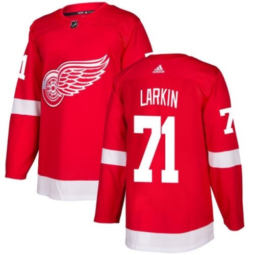 68618f6b59947_1 Men's Detroit Red Wings #71 Dylan Larkin Red Stitched NHL Jersey