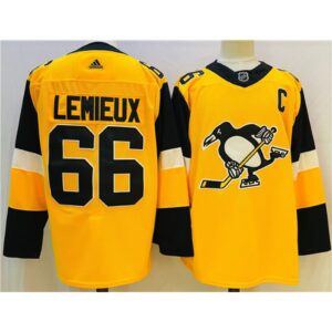 686192d6d288a_1 Men's Pittsburgh Penguins #66 Mario Lemieux Gold Stitched NHL Jersey