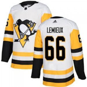 686192da0c1b5_1 Men's Pittsburgh Penguins #66 Mario Lemieux White Stitched NHL Jersey