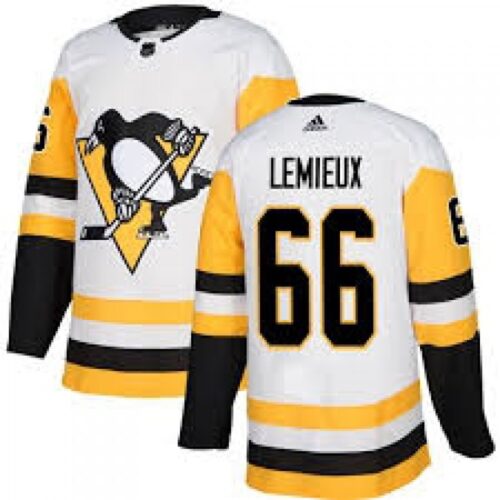 686192da0c1b5_1 Men's Pittsburgh Penguins #66 Mario Lemieux White Stitched NHL Jersey