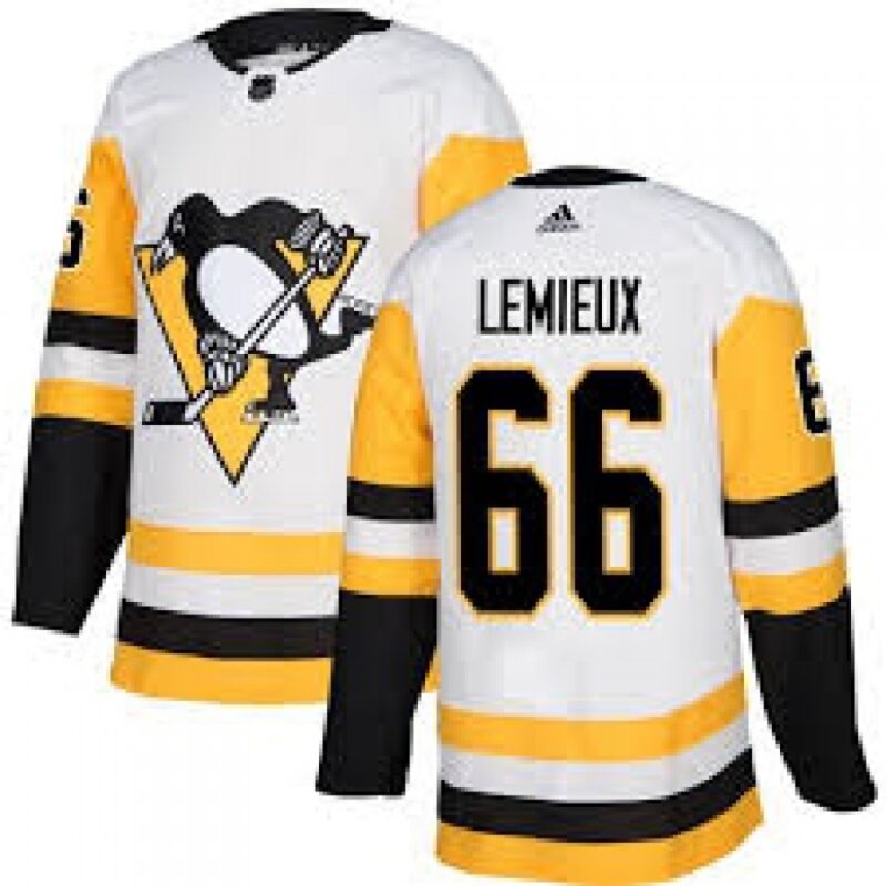 686192da0c1b5_1 Men's Pittsburgh Penguins #66 Mario Lemieux White Stitched NHL Jersey