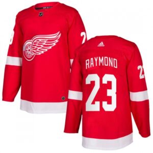 6861a738745a8_1 Men's Detroit Red Wings #23 Lucas Raymond Red Stitched Jersey