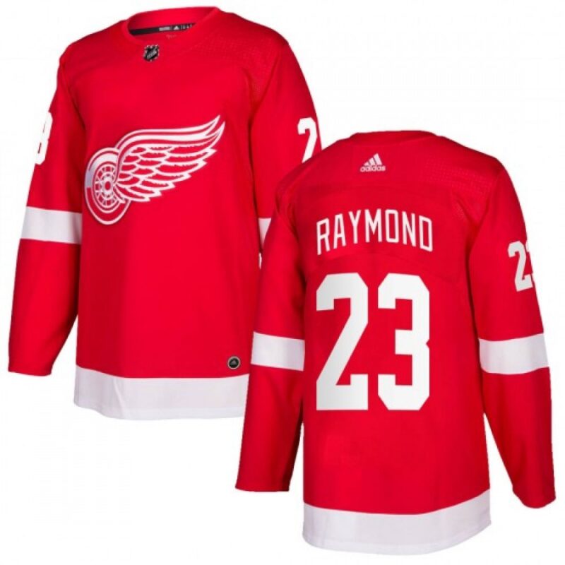 6861a738745a8_1 Men's Detroit Red Wings #23 Lucas Raymond Red Stitched Jersey