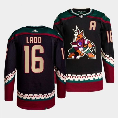 6861b065325ca_1 Men's Arizona Coyotes #16 Andrew Ladd Black Stitched Jersey