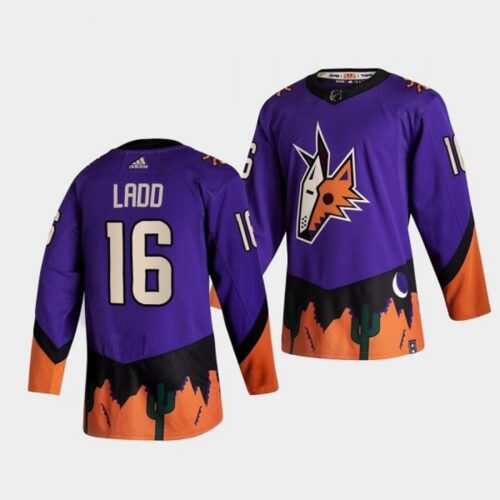 6861b06ec8c06_1 Men's Arizona Coyotes #16 Andrew Ladd Purple Stitched Jersey