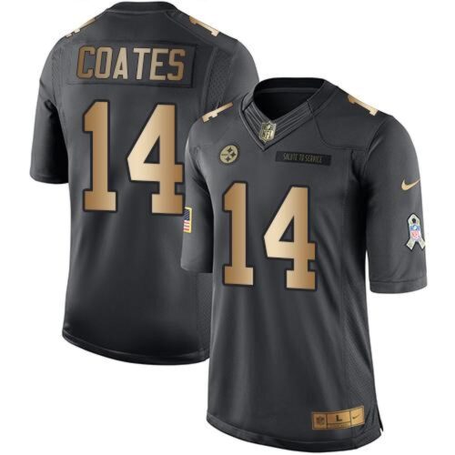 6861b52c08632_1 Steelers #14 Sammie Coates Black Men's Stitched NFL Limited Gold Salute To Service Jersey