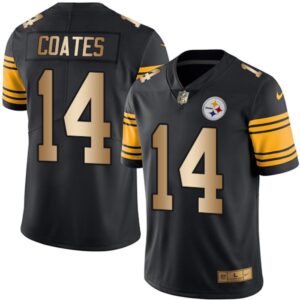 6861b76e35cf6_1 Steelers #14 Sammie Coates Black Men's Stitched NFL Limited Gold Rush Jersey