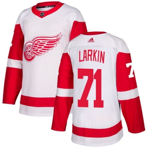 6861b9eb141e1_1 Men's Detroit Red Wings #71 Dylan Larkin White Stitched NHL Jersey