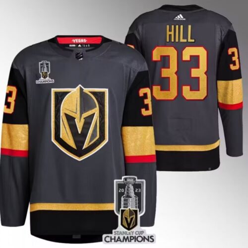 6861bea41e162_1 Men's Vegas Golden Knights #33 Adin Hill Grey 2023 Stanley Cup Champions Stitched Jersey