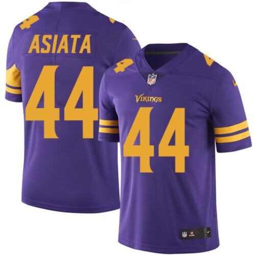 6861d7357cd03_1 Vikings #44 Matt Asiata Purple Men's Stitched NFL Limited Rush Jersey