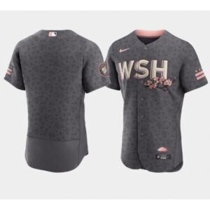 686333e9d6bbf_1 Men's Washington Nationals Blank 2022 Grey City Connect Cherry Blossom Flex Base Stitched MLB Jersey