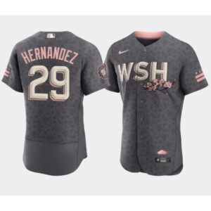 68638b275d461_1 Men's Washington Nationals #29 Yadiel Hernandez 2022 Grey City Connect Cherry Blossom Flex Base Stitched MLB Jersey