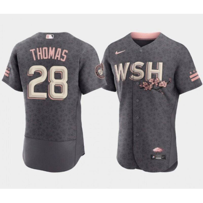 68638d0e62659_1 Men's Washington Nationals #28 Lane Thomas 2022 Grey City Connect Cherry Blossom Flex Base Stitched MLB Jersey