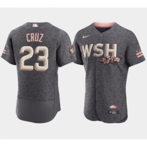 68639ea5ac1f1_1 Men's Washington Nationals #23 Nelson Cruz 2022 Grey City Connect Cherry Blossom Flex Base Stitched MLB Jersey