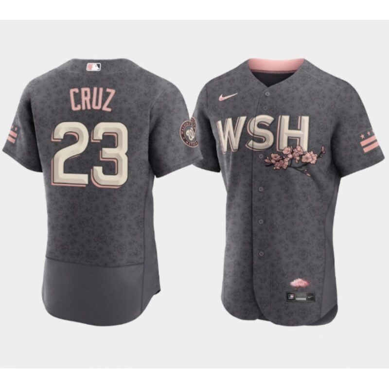 68639ea5ac1f1_1 Men's Washington Nationals #23 Nelson Cruz 2022 Grey City Connect Cherry Blossom Flex Base Stitched MLB Jersey