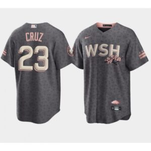 68639eaad5525_1 Men's Washington Nationals #23 Nelson Cruz 2022 Grey City Connect Cherry Blossom Cool Base Stitched Jersey