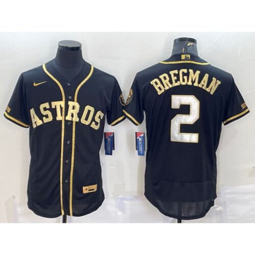 6863afc5b795f_1 Men's Houston Astros #2 Alex Bregman Black Gold Flex Base Stitched Jersey