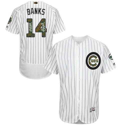 6863be991ffca_1 Cubs #14 Ernie Banks White(Blue Strip) Flexbase Authentic Collection 2016 Memorial Day Stitched MLB Jersey