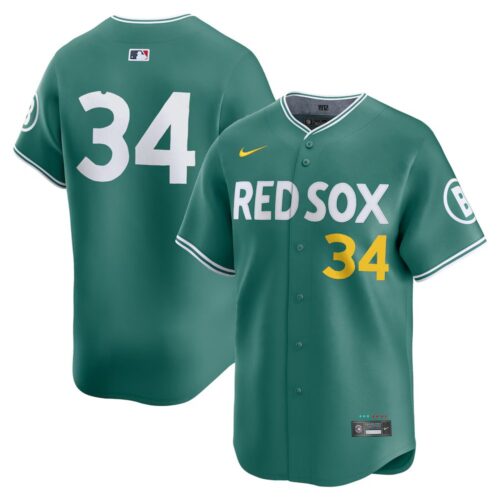 6863dc8fa10c4_1 Youth Boston Red Sox #34 David Ortiz Nike Green 2025 City Connect Limited Retired Player Jersey