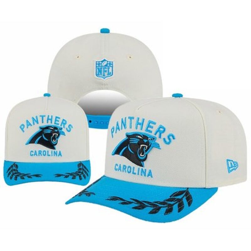 6863ed194df5f_1 Carolina Panthers Adjustable Hat