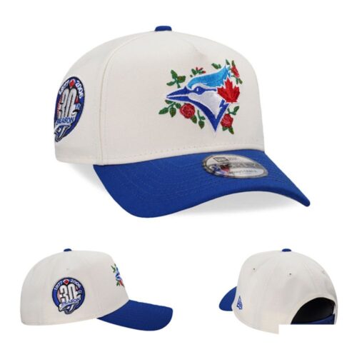 6863f0a5e14c0_1 Toronto Blue Jays Adjustable Hat