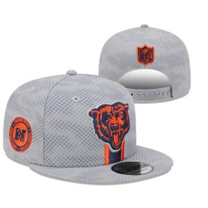 6863f93f0c49e_1 Chicago Bears Snapback Hat