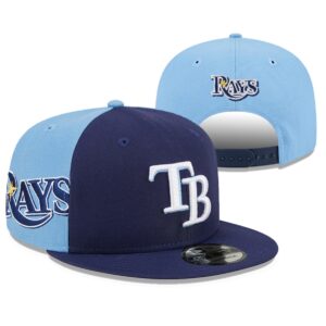 6863f9a7948ee_1 Tampa Bay Rays Snapback Hat