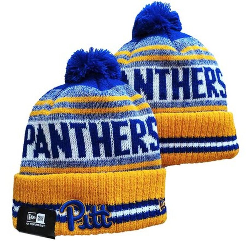 6864025fb7df0_1 Florida Panthers Knit Hat