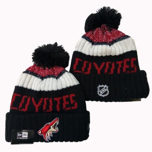 6864028c1708e_1 Arizona Coyotes Knit Hat