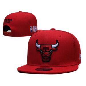 6864046ae2d04_1 Chicago Bulls Snapback Hat