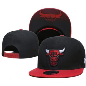 6864128b73381_1 Chicago Bulls Snapback Hat