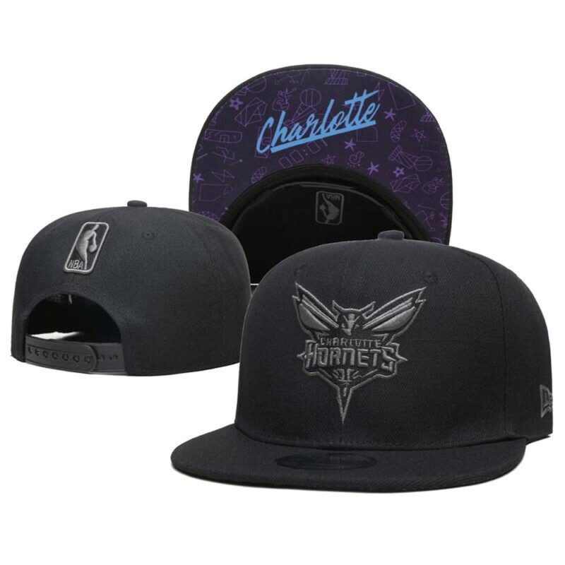 6864188a9289b_1 Charlotte Hornets Snapback Hat