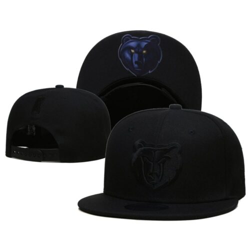 6864189d4256c_1 Memphis Grizzlies Snapback Hat