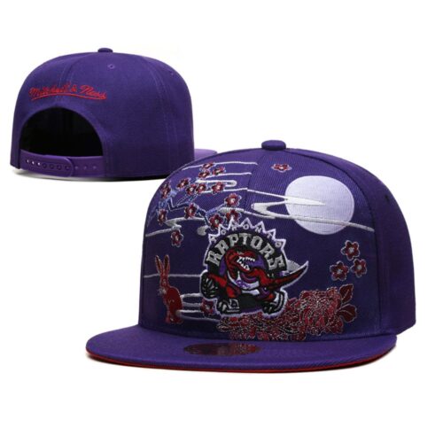 68641a41d41d1_1 Toronto Raptors Snapback Hat