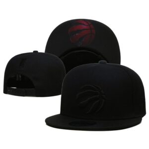 68641a4e4a0cc_1 Toronto Raptors Snapback Hat