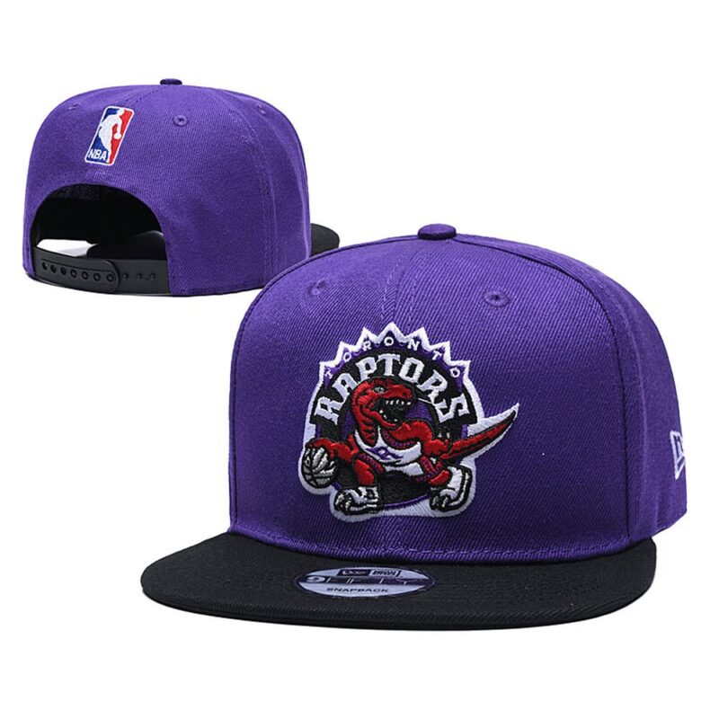 68641a5a6741d_1 Toronto Raptors Snapback Hat