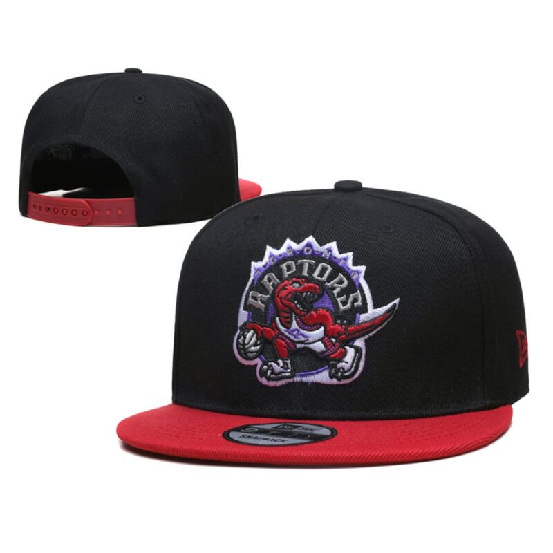 68641a5cc7bd5_1 Toronto Raptors Snapback Hat