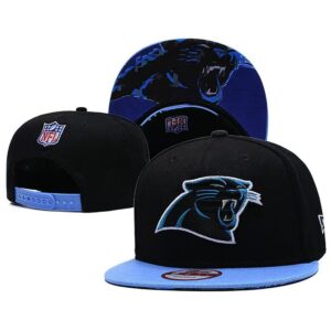 68641cdea79f6_1 Carolina Panthers Snapback Hat