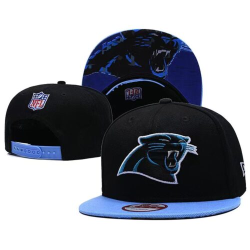 68641cdea79f6_1 Carolina Panthers Snapback Hat
