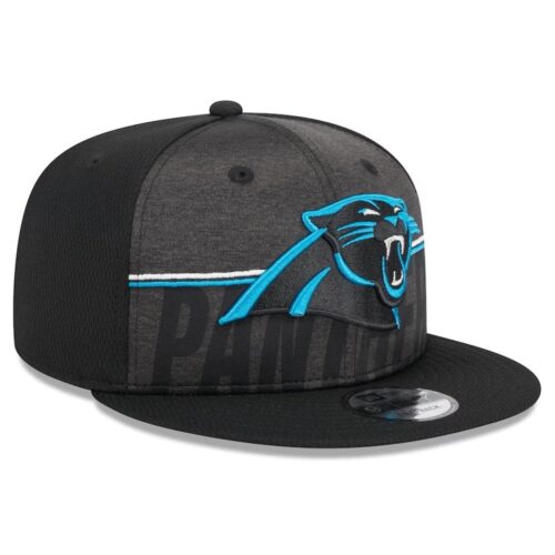 68641ce653f8a_1 Carolina Panthers Snapback Hat
