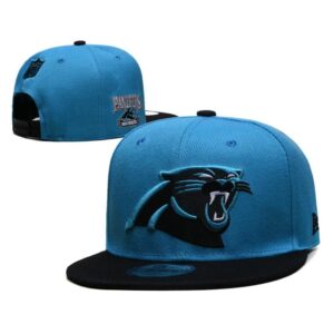 68641cf9ee351_1 Carolina Panthers Snapback Hat