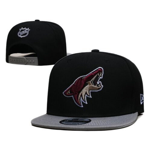 6864269a864c8_1 Arizona Coyotes Snapback Hat
