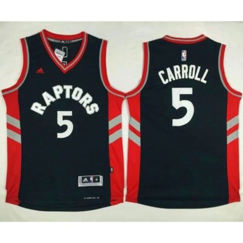 6864298c1345e_1 Raptors #5 DeMarre Carroll Black Stitched NBA Jersey