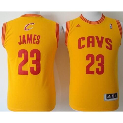 686445c0d2673_1 Revolution 30 Cavaliers #23 LeBron James Gold Stitched Youth NBA Jersey