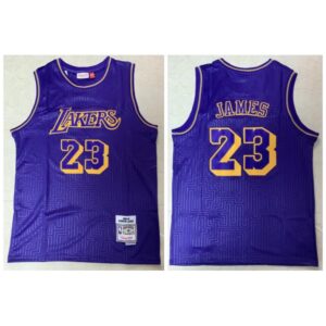 6864487e37059_1 Men's Los Angeles Lakers #23 Lebron James Purple 2018-2019 Limited Stitched Jersey