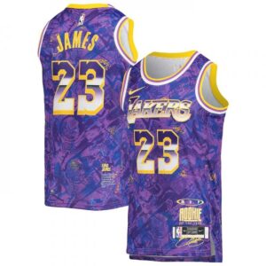 68644ad634042_1 Men's Los Angeles Lakers #23 LeBron James Purple Select Series MVP Swingman Stitched NBA Jersey