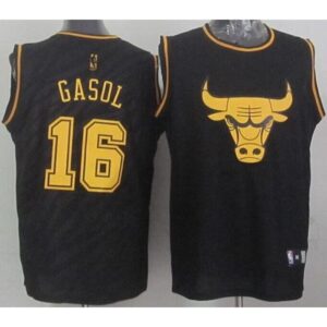 68645a944f3b6_1 Bulls #16 Pau Gasol Black Precious Metals Fashion Stitched NBA Jersey
