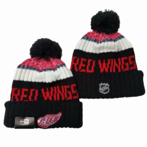 h156968_1 Detroit Red Wings Beanies Knit Hat